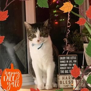 Meet your Posher, Jen